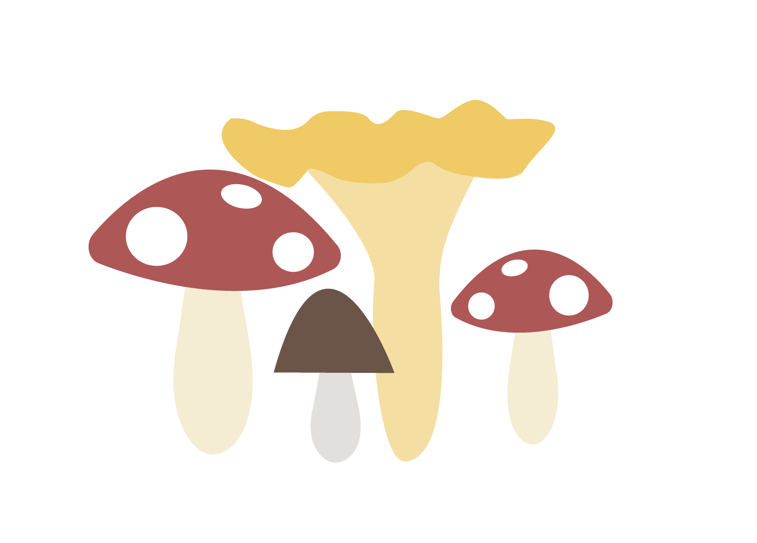 Sopp