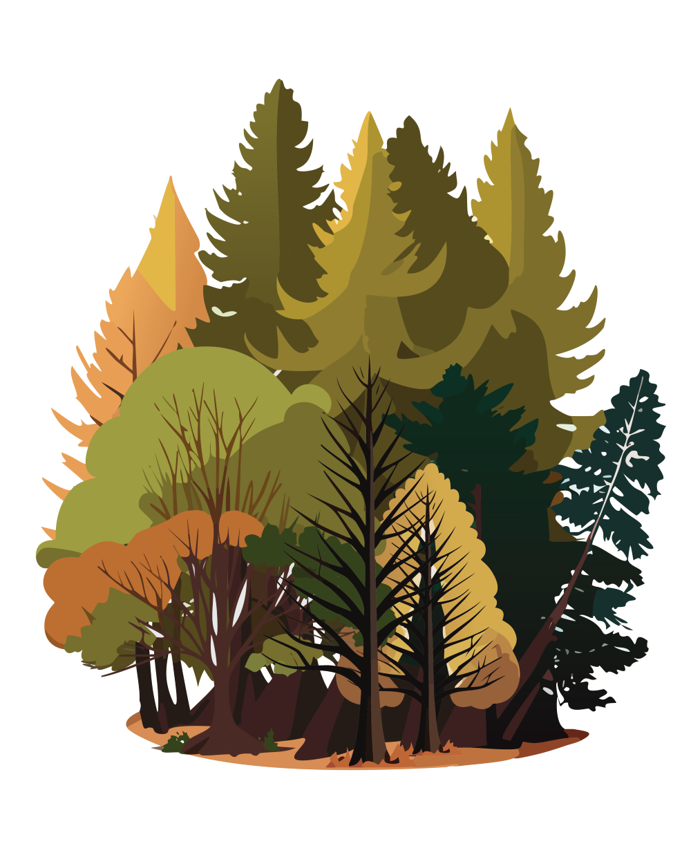 Skog